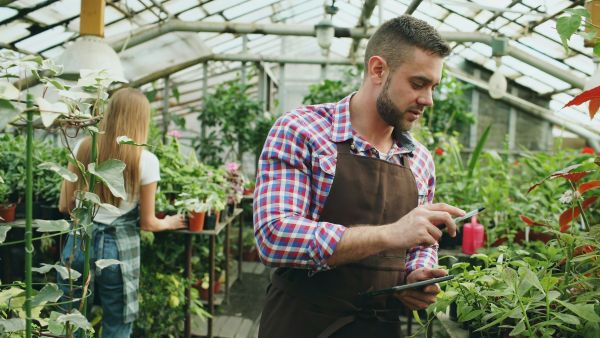 Top plant identification apps to elevate your gardening skills