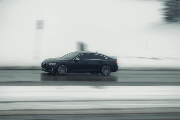 How Can Pet Owners in the UK Improve Their Pets' Wellbeing?