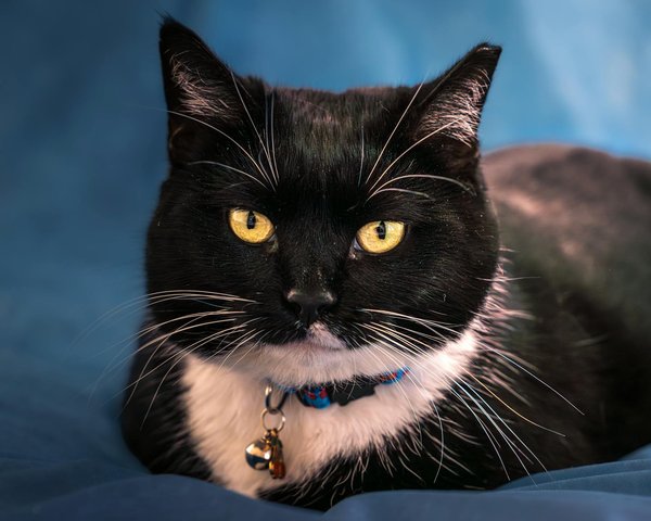 How Is 5G Technology Transforming Connectivity in the UK?